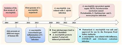 Function and therapeutic prospects of next-generation probiotic Akkermansia muciniphila in infectious diseases